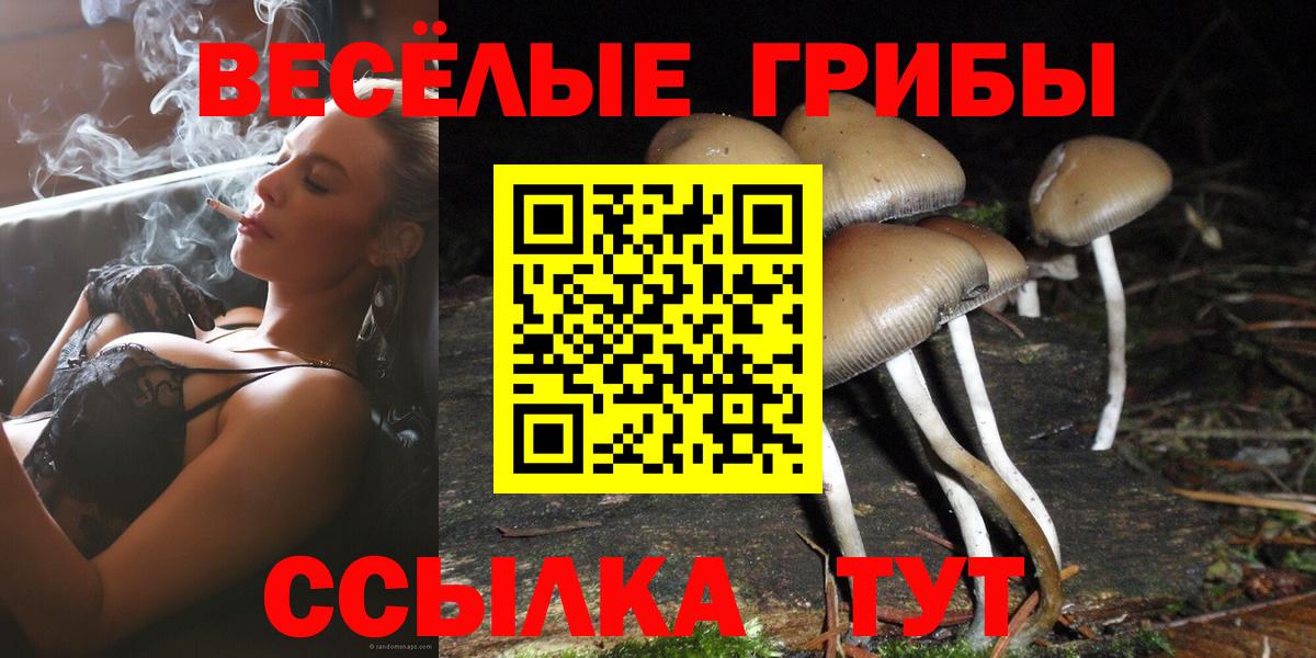 Галлюциногенные грибы ЛСД Рязань